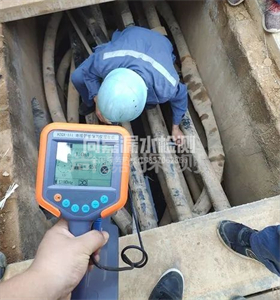 无棣管线探测